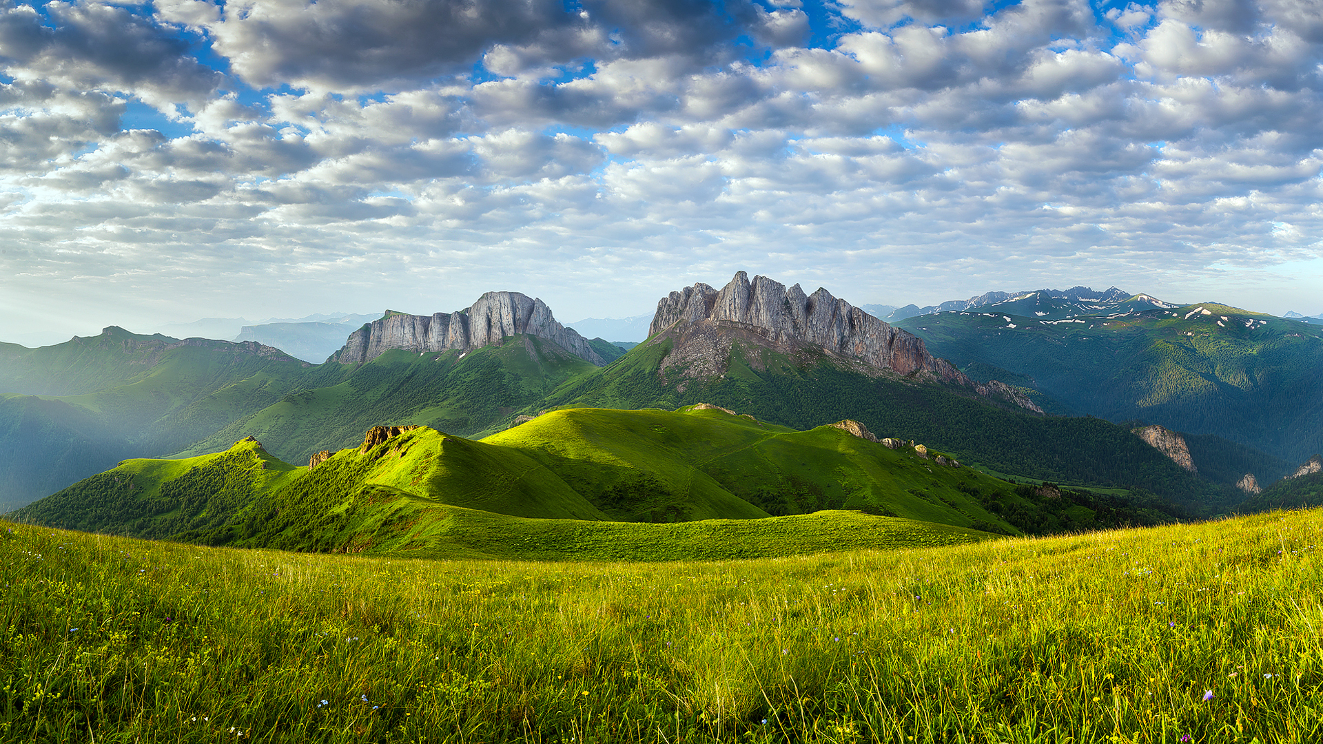 Коллаж панорама природа горы