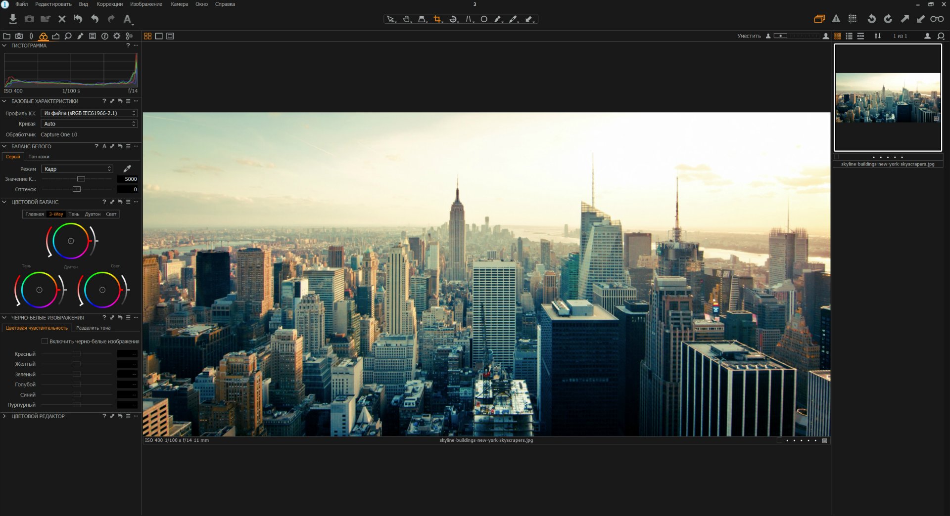 Capture One 23 Pro free downloads