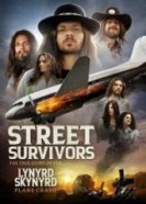Выжившие: Подлинная история крушения самолета группы Lynyrd Skynyrd (2020) торрент