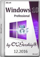 Microsoft Windows 10 Professional vl x86-x64 1607 RU by OVGorskiy 12.2016 2DVD (2016)  