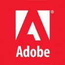 Adobe components: Flash Player 29.0.0.171 + AIR 29.0.0.112 + Shockwave Player 12.3.3.203 RePack by D!akov [Multi/Ru] 