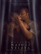 Неаполь под пеленой (2017) торрент