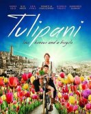 Тюльпаны: любовь, честь и велосипед (2017) торрент