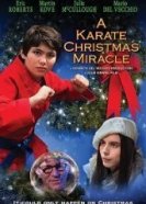Рождественское чудо в стиле карате (2019) торрент
