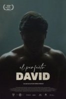 Идеальный Давид (2021) торрент