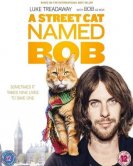 Уличный кот по кличке Боб (2016) торрент