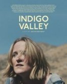 Долина индиго (2020) торрент