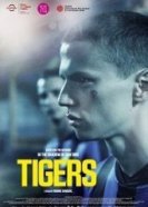 Тигры (2020) торрент