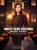 Расследование Хейли Дин: Cмертельное наследство (2017) торрент