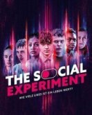 Социальный эксперимент (2022) торрент