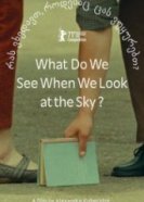 Что мы видим, когда смотрим на небо? (2021) торрент