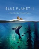 Голубая планета 2 (2017) торрент