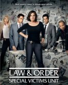 Закон и порядок: Специальный корпус (19 сезон) (2017) торрент