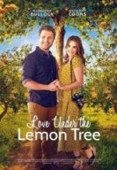 Любовь под лимонным деревом (2022) торрент