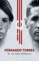 Фернандо Торрес: последний символ (2020) торрент
