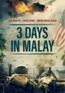 3 дня в Малайе (2022) торрент