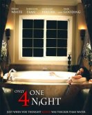 Только на одну ночь (2016) торрент