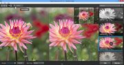 Topaz Impression 2.0.4 (2016) 